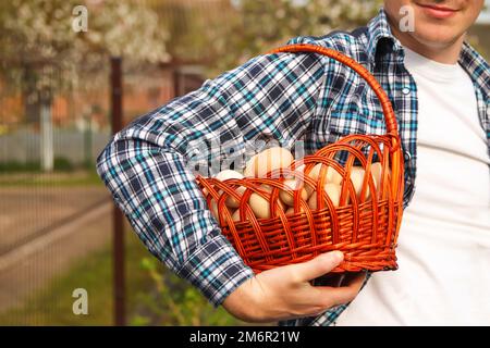 Defocus man holding many eggs in basket. Men holding whole basket of brown organic eggs on nature green background. Eco product. Agriculture. Import Stock Photo