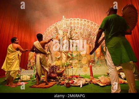 Indian Holy conch shell (Shankha), with nightshade flowers A Shankha is ...