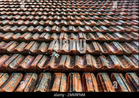 Old roof tiles, double trough interlocking tiles, Allgaeu, Swabia, Bavaria, Germany Stock Photo