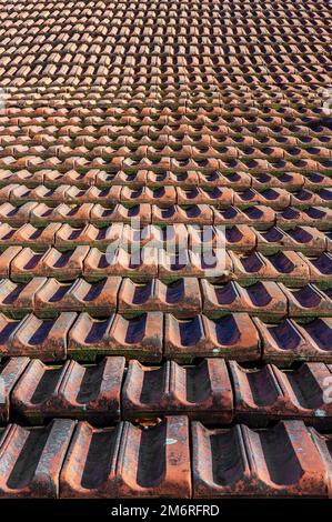 Old roof tiles, double trough interlocking tiles, Allgaeu, Swabia, Bavaria, Germany Stock Photo