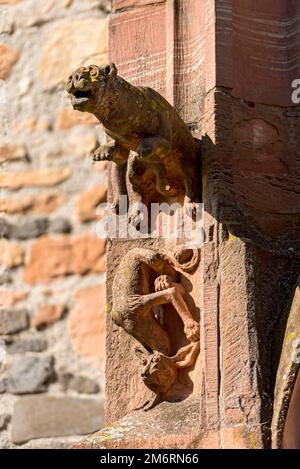 Medieval mythical creatures, gargoyles on the portal of the porch, Gothic St. Mary's Church, Old Town, Ortenberg, Wetterau, Vogelsberg, Hesse, Germany Stock Photo