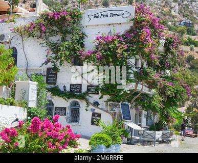 The Bougainvillea clad  Fish terrace restaurant in Kalkan, Turkey.  July 2022 Stock Photo