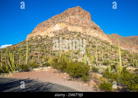 An overlooking view of Organ Pipe Cactus NM, Arizona Stock Photo