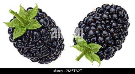 Blackberry isolated on white background Stock Photo