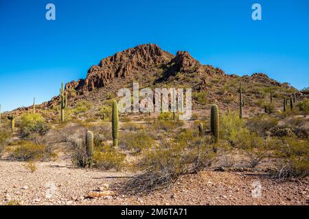 An overlooking view of Organ Pipe Cactus NM, Arizona Stock Photo