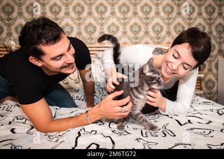 Young couple is playing with their cat on the bed. Beautiful couple caress the fluffy gray cat. Stock Photo
