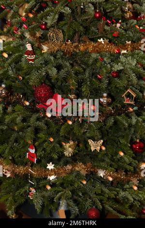 Decorations on Real Evergreen Christmas Tree Stock Photo