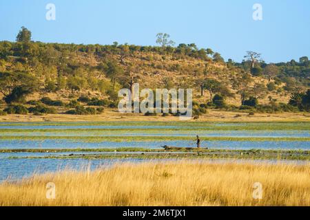 African Fisherman in a canoe rowing on the Chobe river. Botswana, Africa Stock Photo