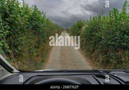 A view through the windshield of a camper van driving along an extremely narrow country road with tall hedges on either side Stock Photo