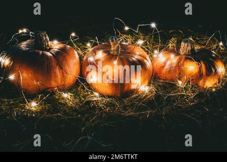 Pumpkins decorated with fairy lights for Halloween party outdoors Stock Photo