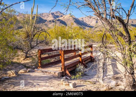 An overlooking view of Tucson, Arizona Stock Photo