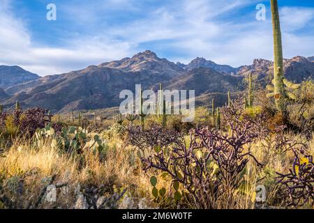 An overlooking view of Tucson, Arizona Stock Photo