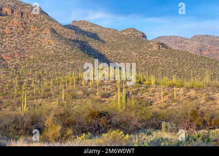 An overlooking view of Tucson, Arizona Stock Photo