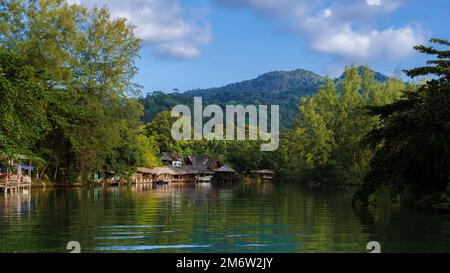 Rainforest of the tropical island Koh Chang Thailand Stock Photo
