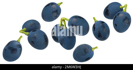 Dark blue grape isolated on white background Stock Photo