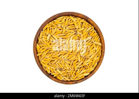 Top view, flat lay of closeup dry freshly harvested paddy in wooden bowl isolated on white background. Stock Photo