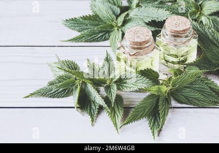 Nettle oil and fresh nettle leaf Urtica dioica on white wooden table Stock Photo