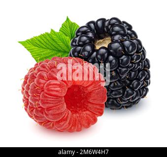 Raspberry and blackberry isolated on white background Stock Photo