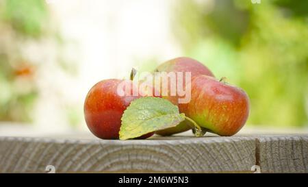 Three apples in the garden on a wooden table background Stock Photo