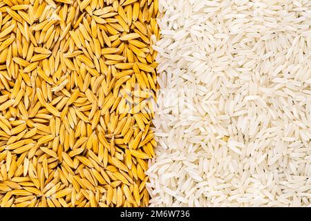 Top view of freshly harvested ripe raw paddy seed and white jasmine rice without husk. Stock Photo