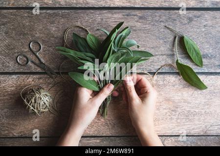 Sage leaf bundle in hands, hemp string and scissors on old wooden table Stock Photo