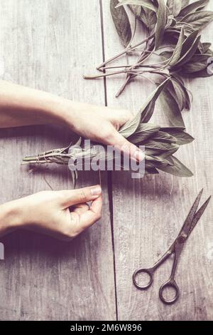 Hands making white sage smudge stick, natural incense for home and meditation, Stock Photo