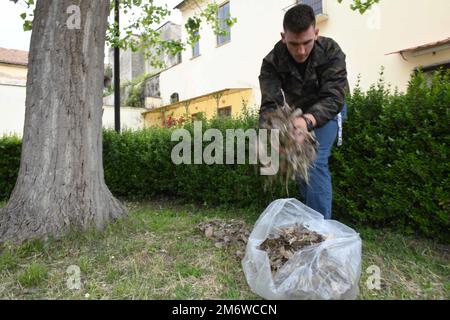 220506-N-IE405-1154 SANTA MARIA CAPUA VETERE, Italy (May 6, 2022) Machinery Repairman 3rd Class Devin Thompson, assigned to U.S. Naval Support Activity (NSA) Naples, removes dry foliage during a community relations project at the  Archaeological Museum of Ancient Capua in Santa Maria Capua Vetere, Italy, May 6, 2022. NSA Naples is an operational ashore base that enables U.S., allied, and partner nation forces to be where they are needed, when they are needed to ensure security and stability in the European, African, and Central Command areas of responsibility. Stock Photo