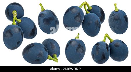 Dark blue grape isolated on white background Stock Photo