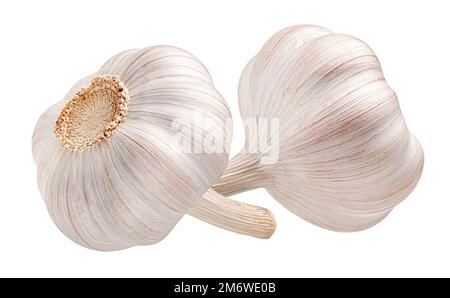 Garlic isolated on white background with clipping path Stock Photo