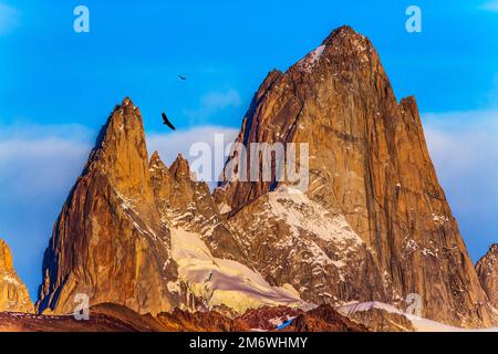 Huge Andean condors fly in the sky Stock Photo