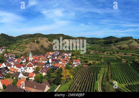 Aerial view of Schelingen am Kaiserstuhl overlooking the vineyards. Schelingen, Vogtsburg am Kaisers Stock Photo