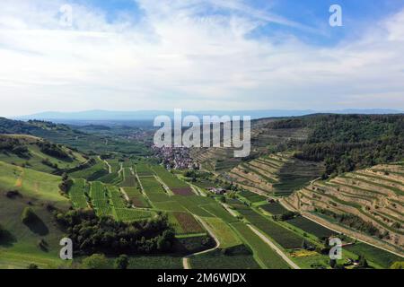 Aerial view of Schelingen am Kaiserstuhl overlooking the vineyards. Schelingen, Vogtsburg am Kaisers Stock Photo