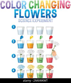 Color Changing Water. Science Experiment for kids at home. Vector ...