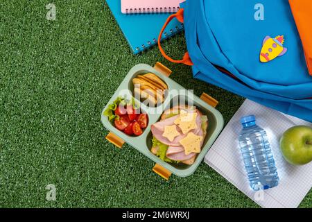 Healthy school lunch box with sandwich and salad at school yard