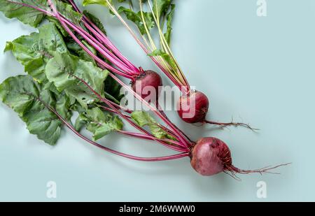 Bunch of fresh beetroot. Freshly bunch harvest. Fresh farm vegetables on pastel background. Healthy organic food Stock Photo