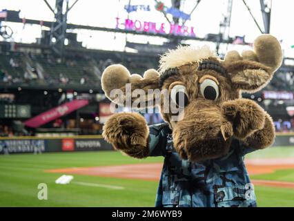 Seattle mariners mascot hi-res stock photography and images - Alamy