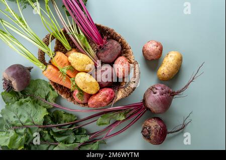 Freshly bunch harvest. Fresh farm vegetables in wicker basket. Healthy organic food, raw carrot, beetroot and  potatoes Stock Photo