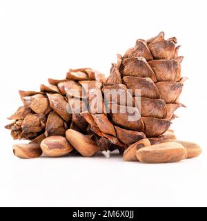 Close up pine nuts and pine cone isolated on white background. Stock Photo