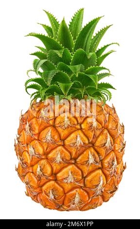 One pineapple isolated on white background, full depth of field Stock Photo