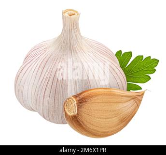 Falling peeled garlic cloves isolated on white background Stock Photo ...