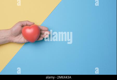 Female hand holds red heart, blue yellow background. Love and donation concept, top view Stock Photo