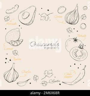 guacamole ingredients in hand drawn style in illustration Stock Vector