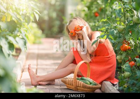 Adorable girl having fun in greenhouse. Portrait of kid with basket with vegetables Stock Photo