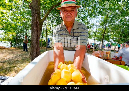 Elderly man farmer holding in his hands peeled washed raw young potatoes over white bowl with water. Preparing food outdoors Stock Photo