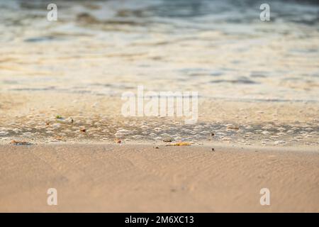 A serene close-up of a gentle ocean wave washing over golden sand at Jurien Bay, Western Australia. Afternoon sunlight illuminates the coastal scene. Stock Photo