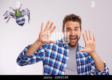 Spider. Studio shot of a young man cowering in terror at a spider against a gray background. Stock Photo