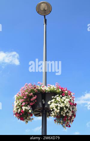 A flowered streetlight, blue sky in the background Stock Photo