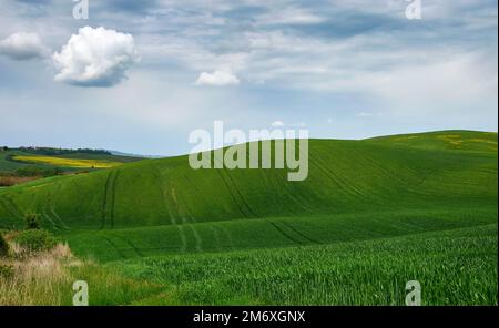 Spring landscape in Tuscan hills Stock Photo