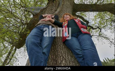 A couple of tourists near the famous secular Checche Oak Tree in Tuscany Stock Photo