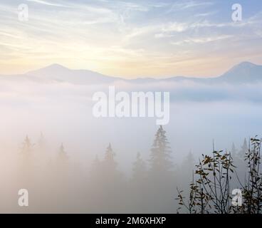 Morning fog on the slopes of the Carpathian Mountains (Ivano-Frankivsk oblast, Ukraine). View on Chornohora ridge.
